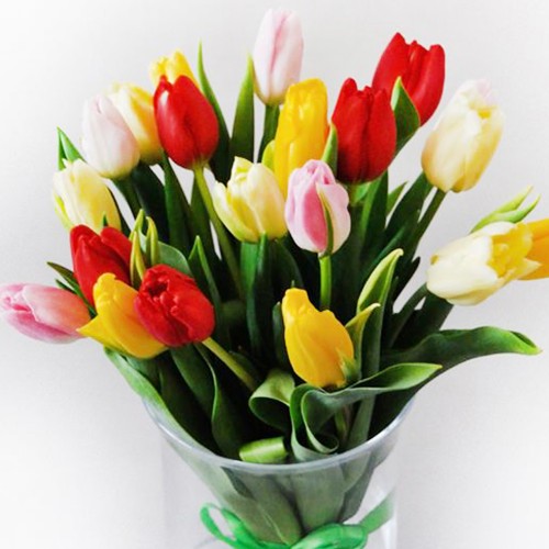 Bukiet 20 kolorowych tulipanów