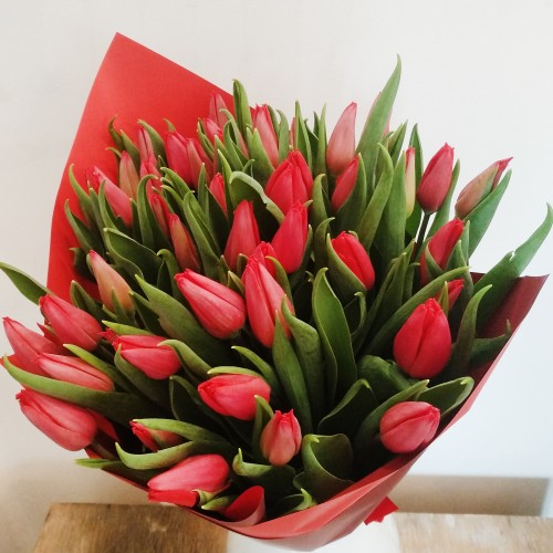Bukiet 50 tulipanów