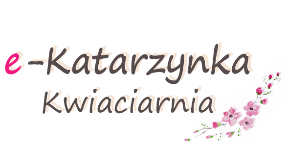 E-Katarzynka